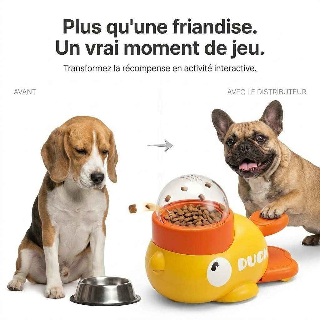 Comparaison entre une gamelle classique et le jouet distributeur de friandises