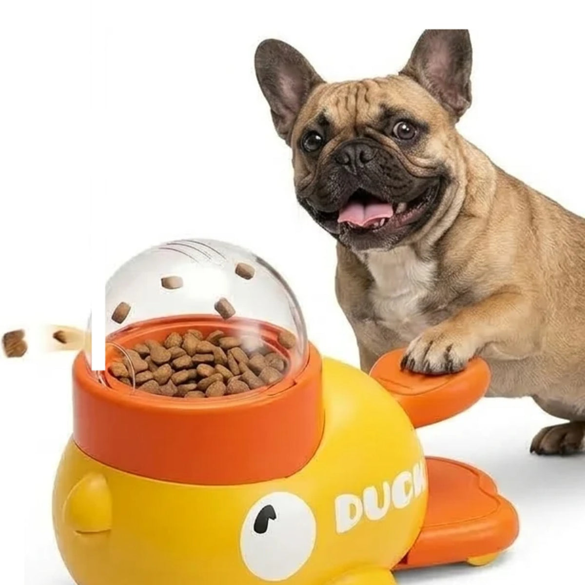 Un chien appuie sur la palette et une croquette sort du jouet